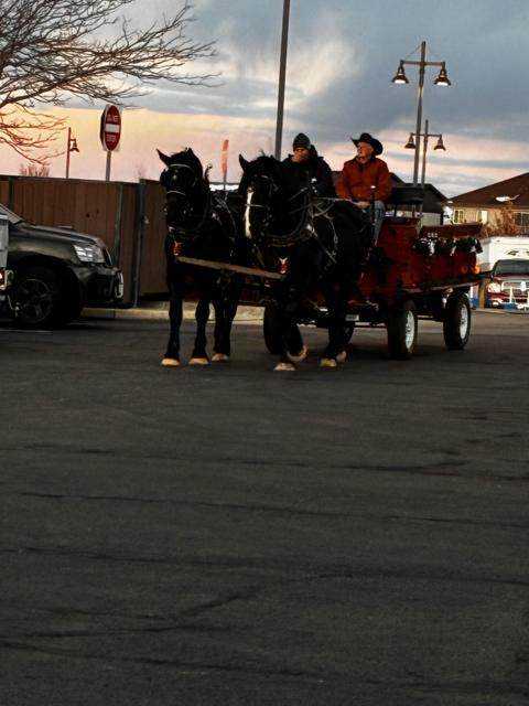 horse carriage
